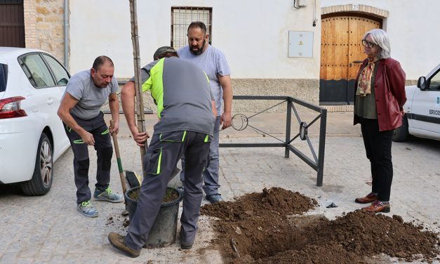 EL AYUNTAMIENTO REFUERZA EL ARBOLADO URBANO CON NUEVAS PLANTACIONES Y MEDIDAS DE PROTECCIÓN EN LA CALLE VALENCIA